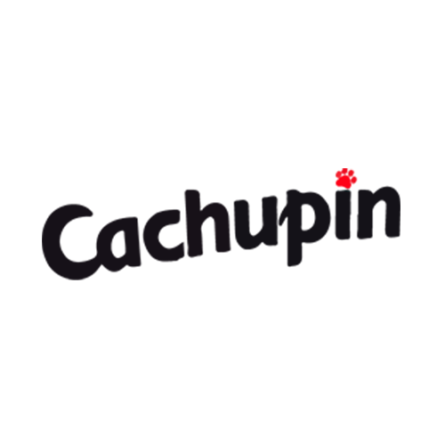 Cachupín