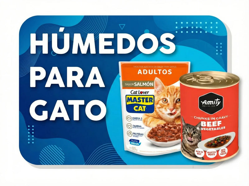Alimentos húmedos para gato