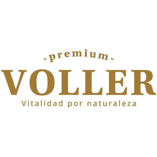 Voller