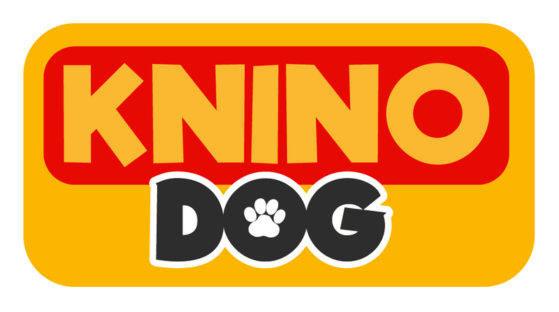 Knino