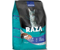 Raza Gato Pescado 15k