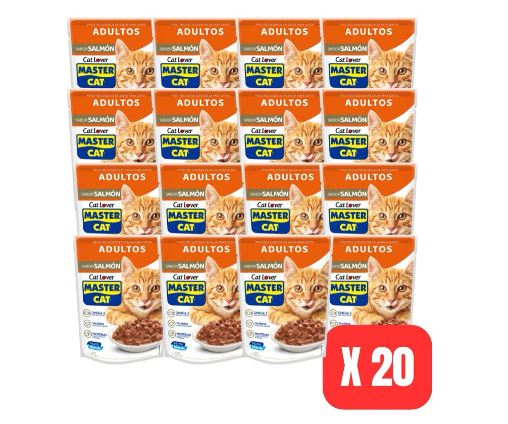 Master Cat Trocitos Salmon 20x100gr