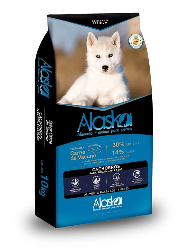 Alaska Cachorro 10k