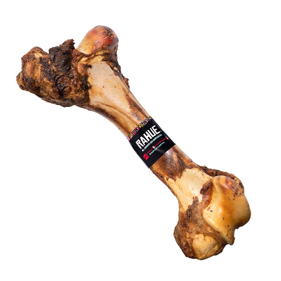 Rahue Femur Vacuno Gigante
