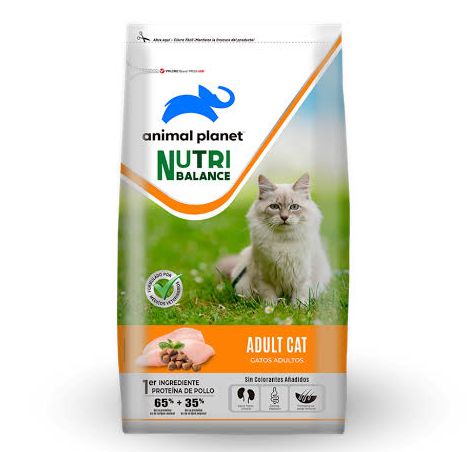Animal planet Gato 8k