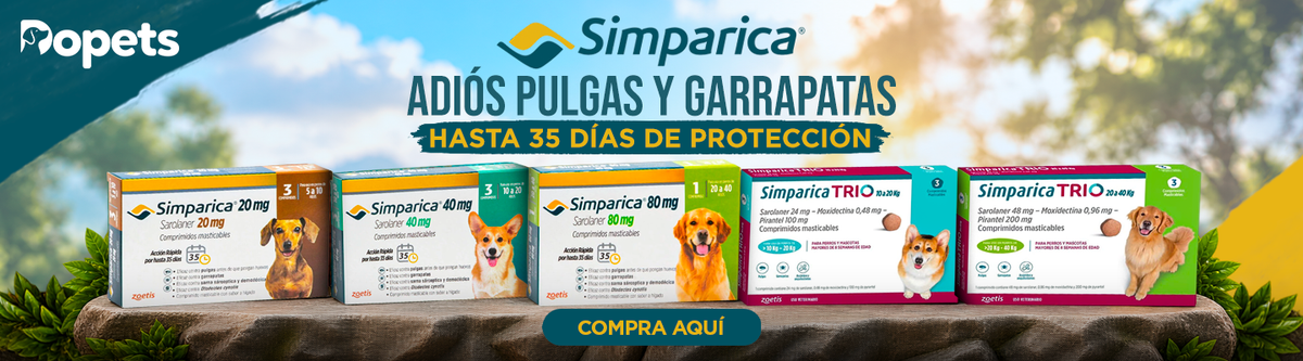 Banner promocional